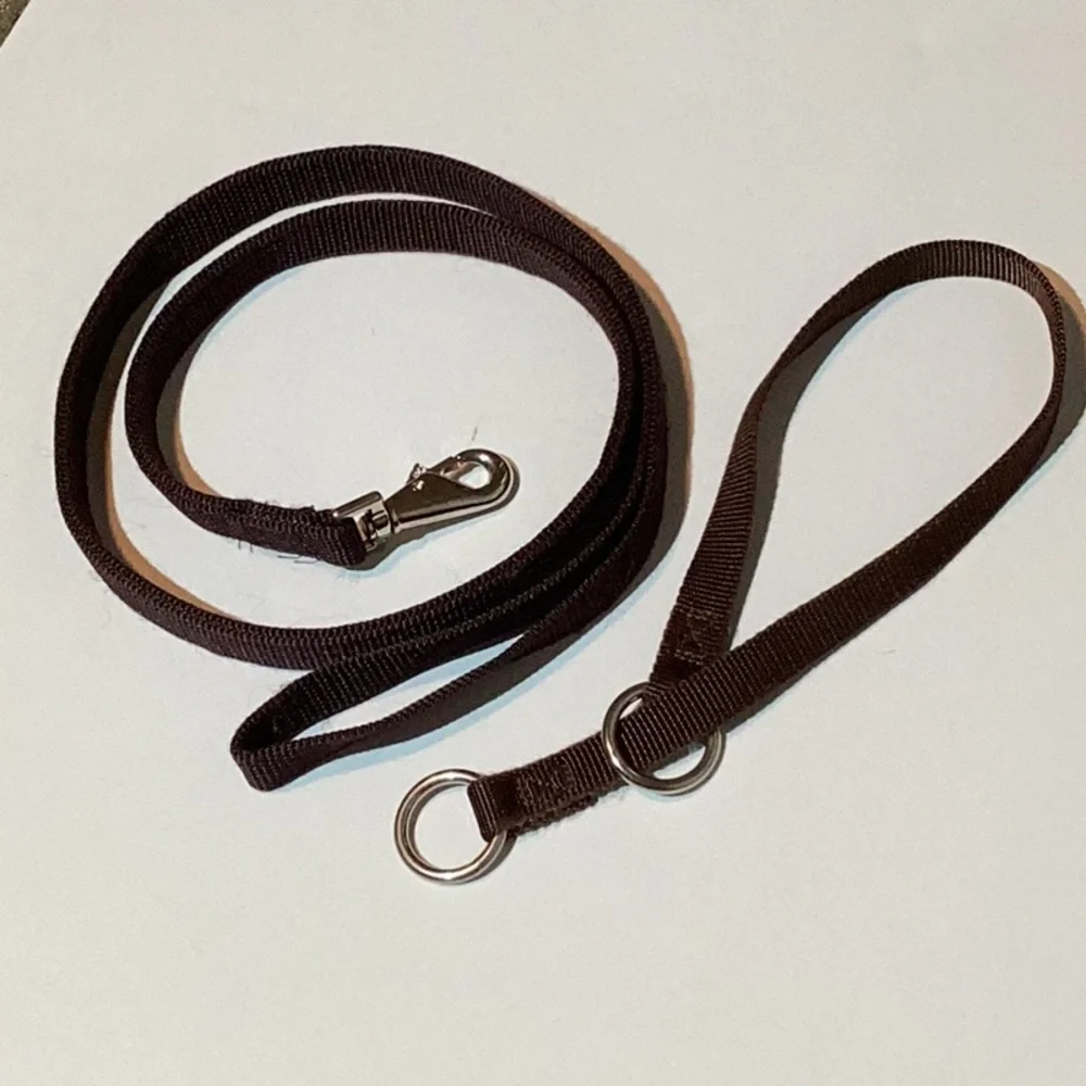 Slip collar & leash, sturdy nylon, brown color, 1” wide, metal hardware